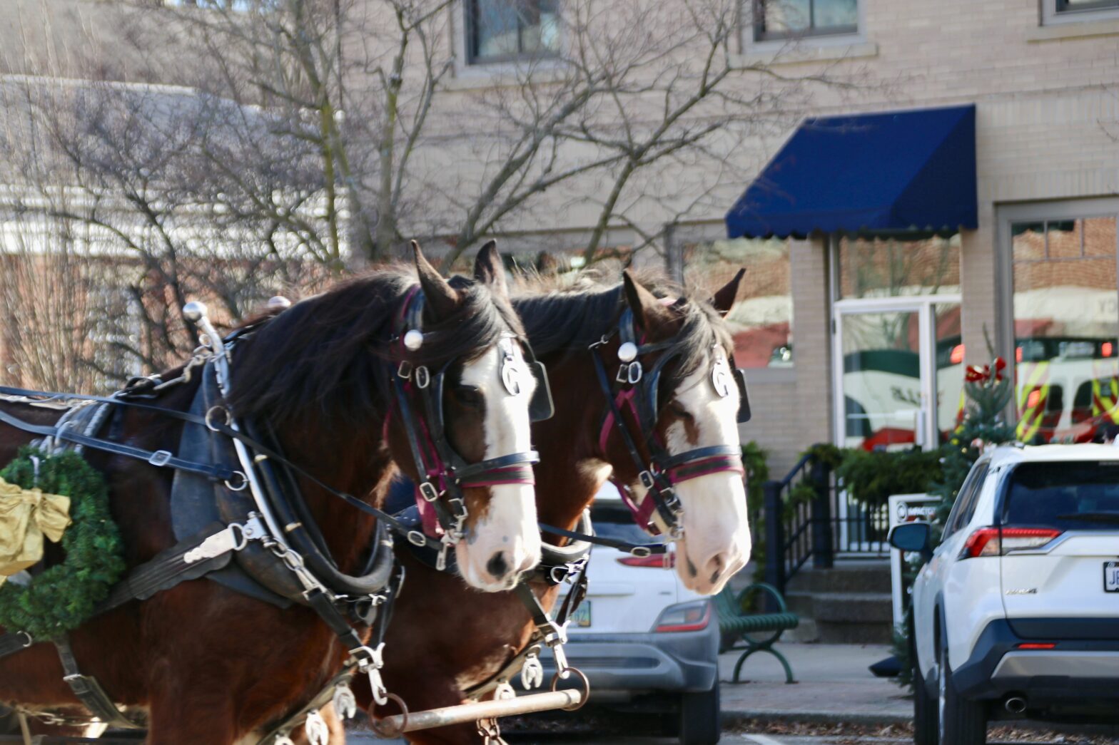 Hundreds fill downtown Granville streets and shops for 39th annual